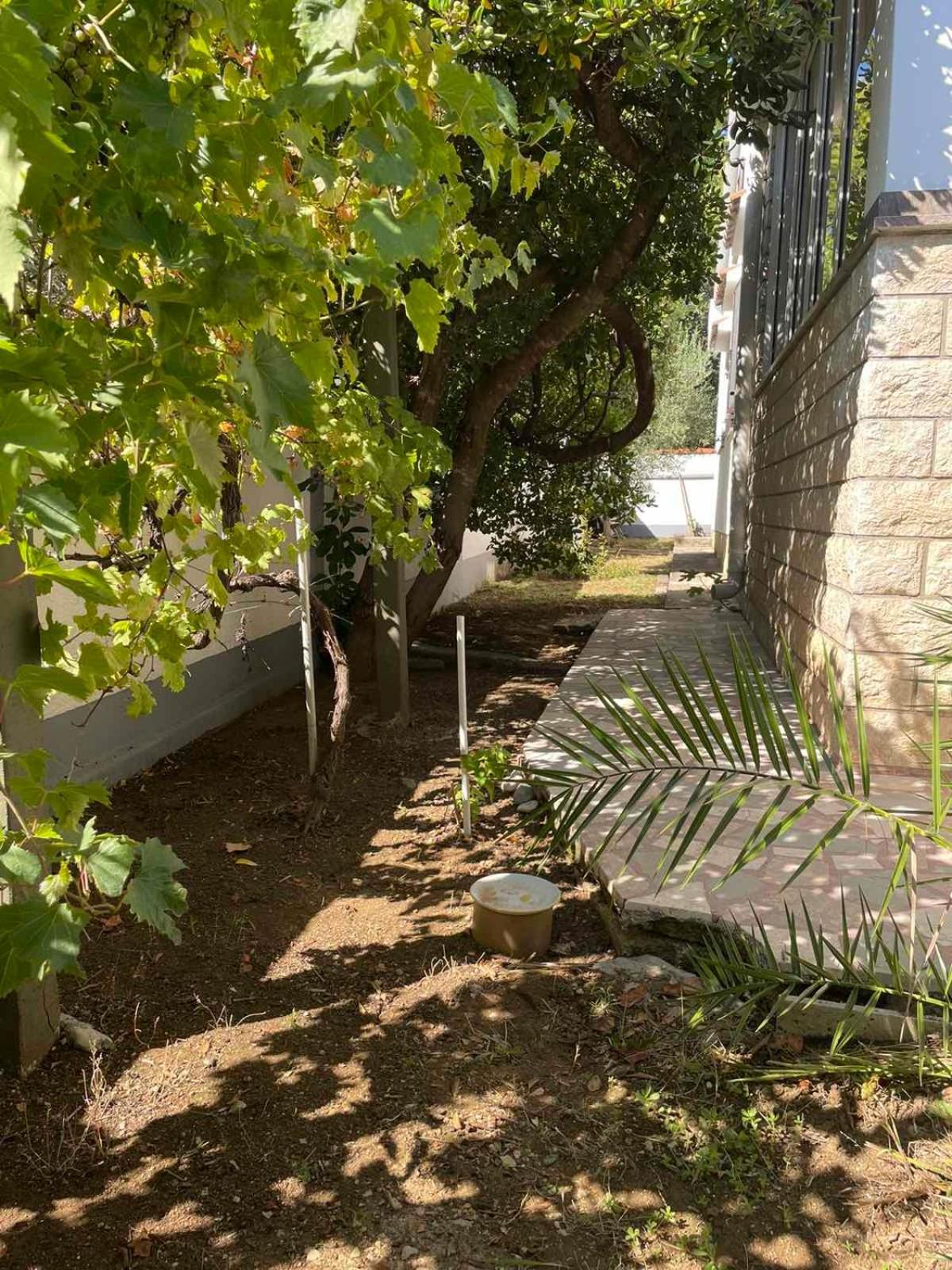 Pagar - With Jacuzzi - Renovated In 2022 * Povljana