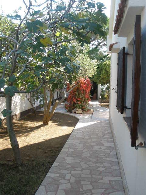 Pagar - With Jacuzzi - Renovated In 2022 Willa Povljana